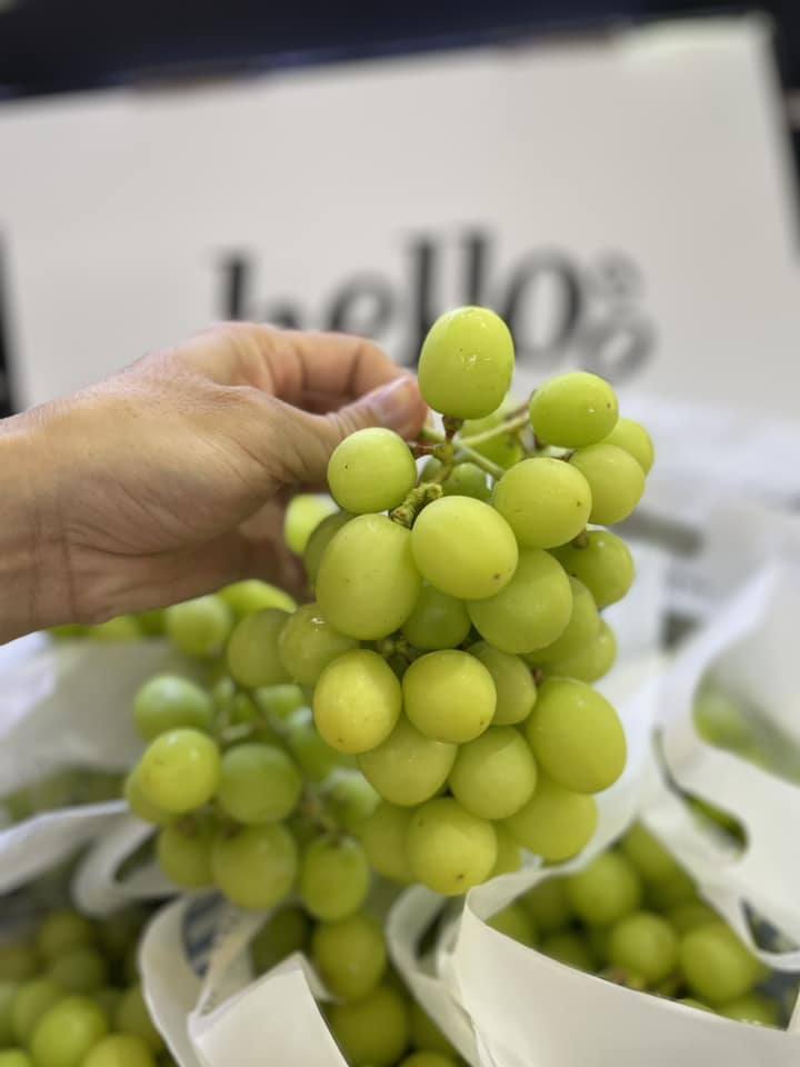 Giỏ trái cây Phan Thiết, Shop trái cây Phan Thiết, Trái cây nhập khẩu Phan Thiết, Trái cây nhập khẩu, Trái cây nhập khẩu giá rẻ Phan Thiết, Trái cây nhập khẩu Bình Thuận