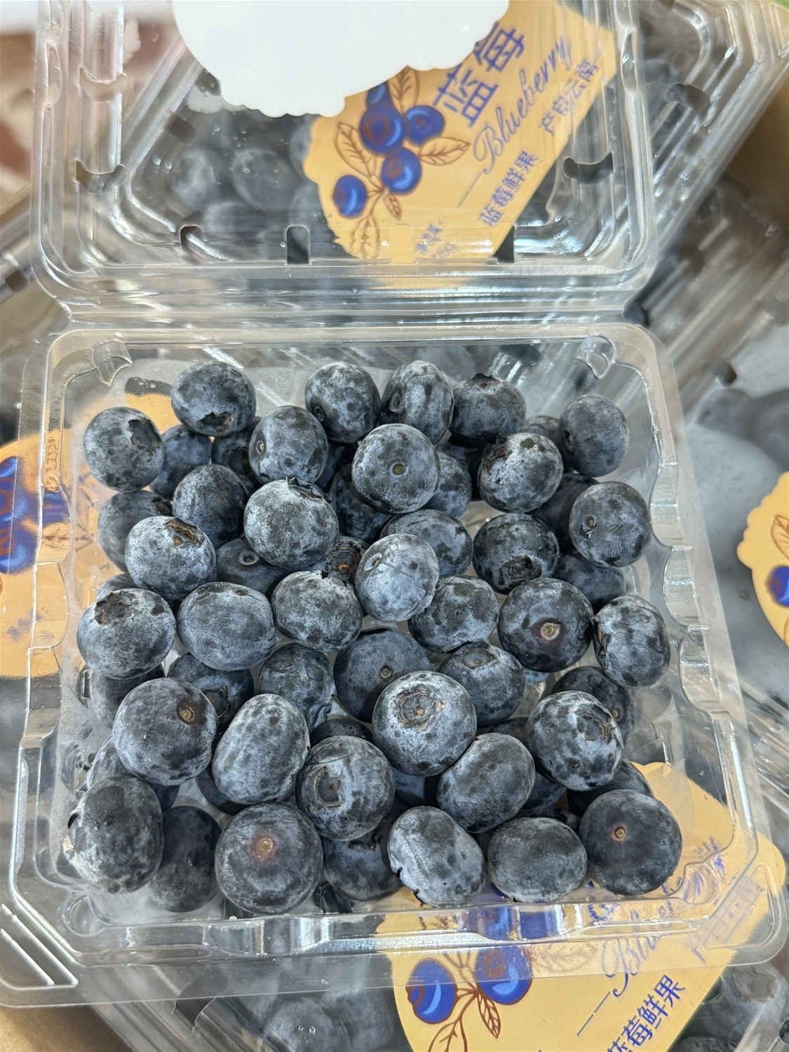 Việt quất Blueberry